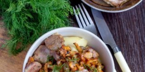 Svinjetina sa lisičarkama: sa krompirom, krem ​​sos, u loncima