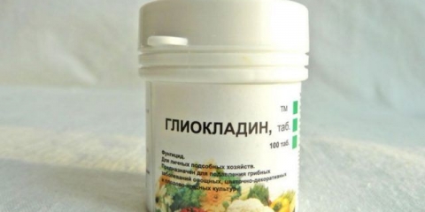 Gliocladin tablete: upute za upotrebu, recenzije, kada treba obraditi