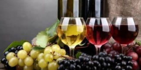 Tehnologija proizvodnje vina od grožđa