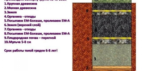 Topli kreveti uradite sami: izrada korak po korak