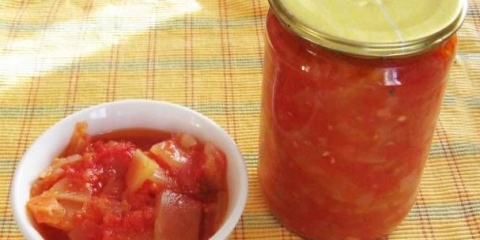 Svekrvni jezik od tikvica sa paradajz pastom