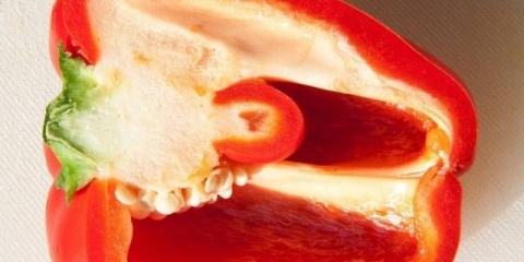 Sorte paprike debelih stijenki za otvoreno tlo