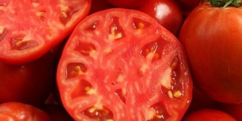 Paradajz alyosha popovich: recenzije + fotografije