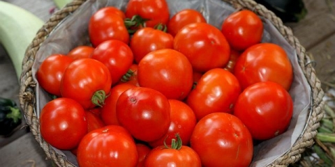 Paradajz bella rossa: karakteristike i opis sorte