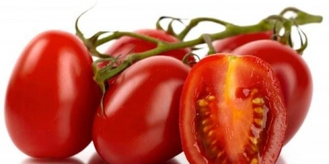 Romski paradajz: opis sorte, fotografije, recenzije