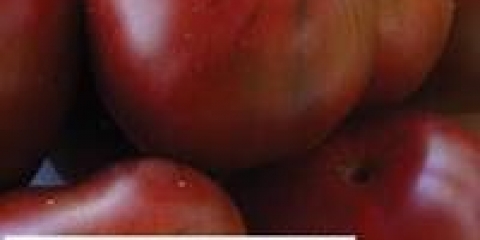 Smeđi šećerni paradajz: karakteristike i opis sorte