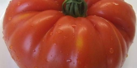 Specijalne snage paradajza: karakteristike i opis sorte