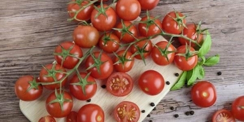 Slatki cherry paradajz