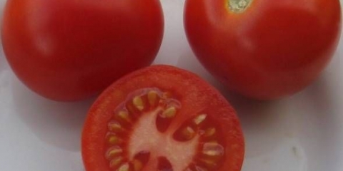 Paradajz taimyr: opis, fotografija, recenzije