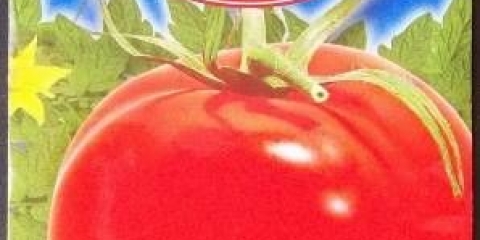 Tanja paradajz: karakteristike i opis sorte