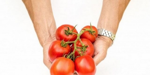 Paradajz visokog društva