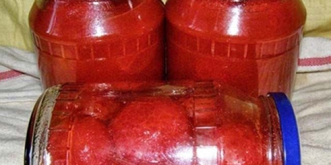 Paradajz u sopstvenom soku bez sirćeta