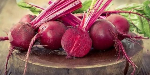 Top 9 najslađih sorti cvekle