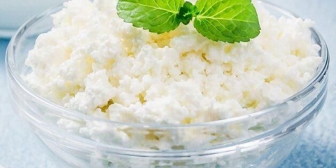 Svježi sir: korisna svojstva proizvoda, preporuke za odabir i skladištenje