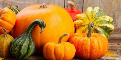 Ukrasna bundeva: fotografije i nazivi