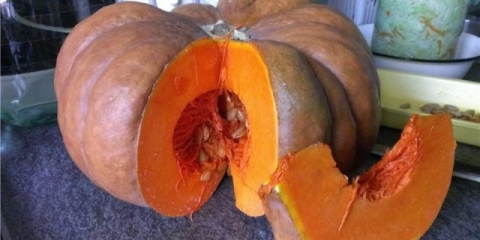 Bundeva muscat de provence (muscat provence): opis sorte