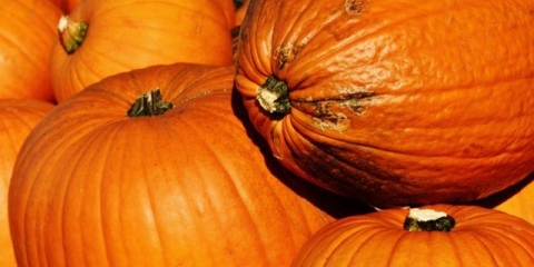 Dijeta od bundeve za mršavljenje i čišćenje organizma