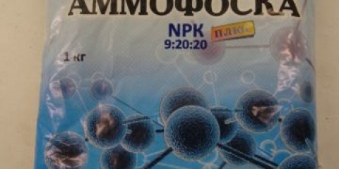 Amofosko gnojivo: sastav, upute za upotrebu u bašti u proljeće i jesen