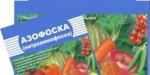 Azofoska gnojivo: primjena, sastav