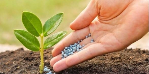 Gnojivo fertik: sastav, primjena