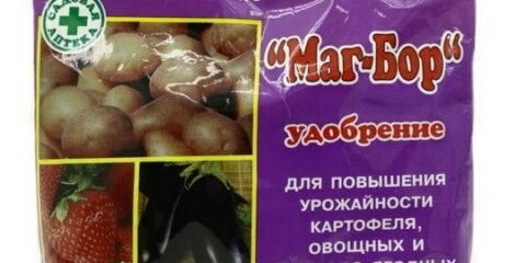 Magboronsko gnojivo: primjena za paradajz, krastavce, kupus i druge biljke, recenzije