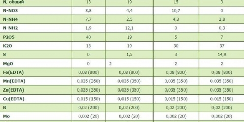 Novalon gnojivo: primjena za zeleni luk, paradajz, krompir