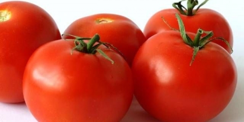 Gnojiva za rast paradajza