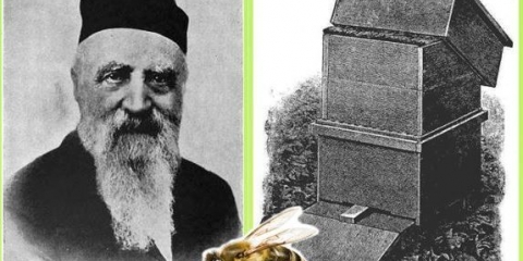 Košnica dadan uradi sam