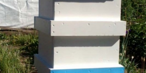 Napravite sami košnicu od ekspandiranog polistirena (polistirena)