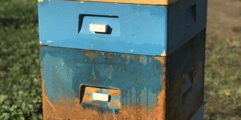 Košnica nižnji novgorod