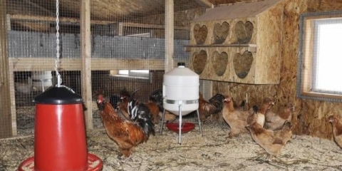 Kokošinjac za kokoši nesilice