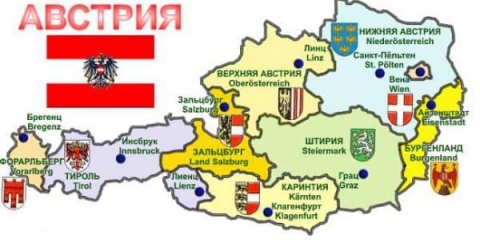 Bečki plavi zečevi - kakva je to pasmina i zašto je izuzetna