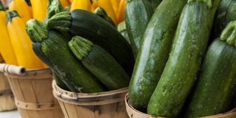 Vrste i sorte tikvica