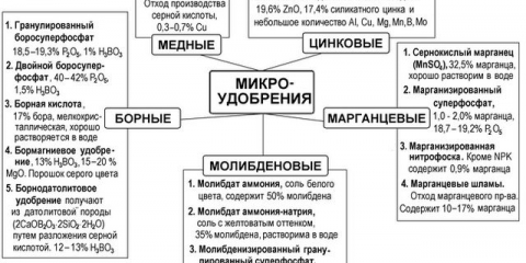 Vrste đubriva za grožđe