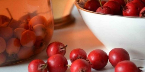 Vino od gloga kod kuće