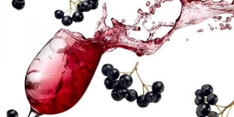 Vino od aronije kod kuće