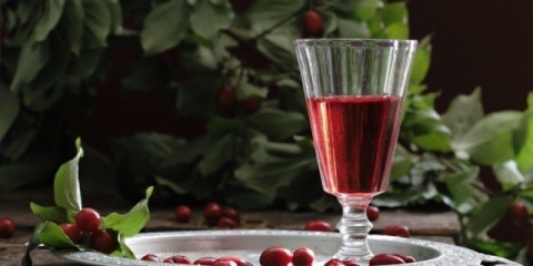 Vino od drena kod kuće