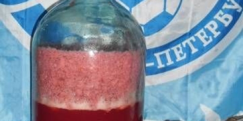 Vino od jagoda kod kuće: recept