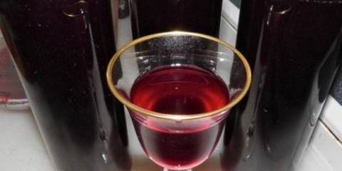 Vino od šljiva kod kuće