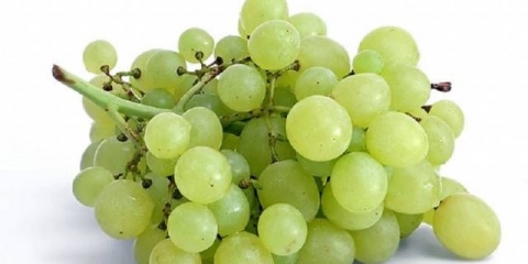 Vino od sultanovog grožđa kod kuće