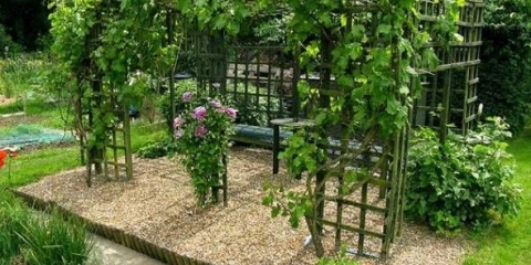 Sofijske sorte grožđa: detaljan opis + fotografija