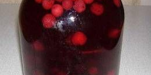 Kompot od višanja: recepti za zimnicu u teglama