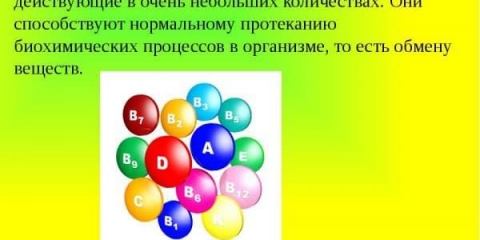 Vitaminizirana prehrana za kuniće - osnova njihovog zdravlja