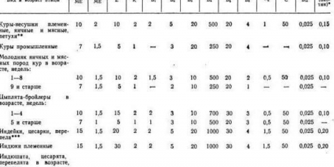 Vitamini za kokoši nesilice za proizvodnju jaja - naziv lijekova