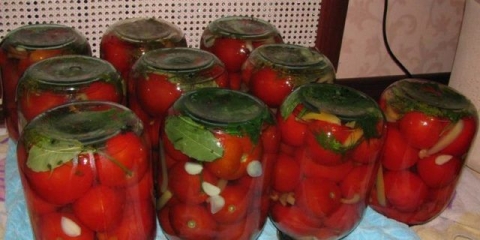 Ukusni paradajz i paprika za zimnicu