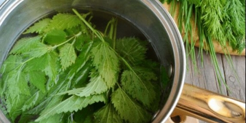 Ukusni recepti od koprive