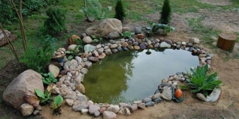 Ribnjak na selu uradi sam: fotografija