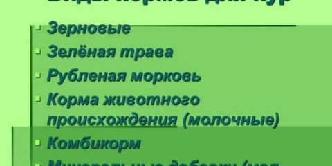 Sve o uradi sam hrani za kokoši nesilice - proporcije
