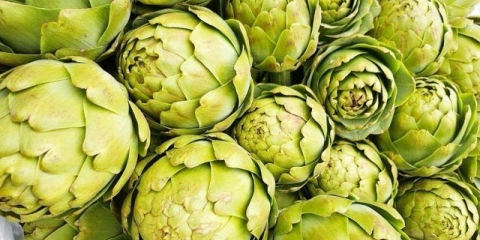 Uzgoj artičoke iz sjemena