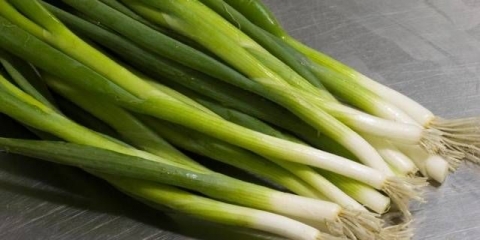 Uzgoj luka na peru kod kuće